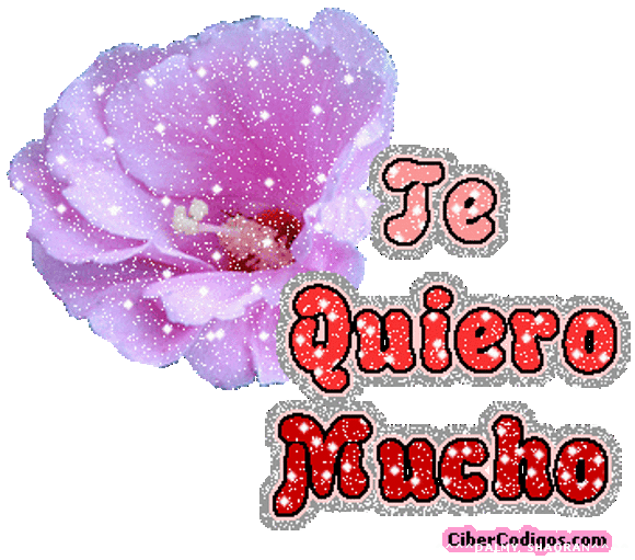 ESPERO QUE LES GUSTE LA FOTITO!!