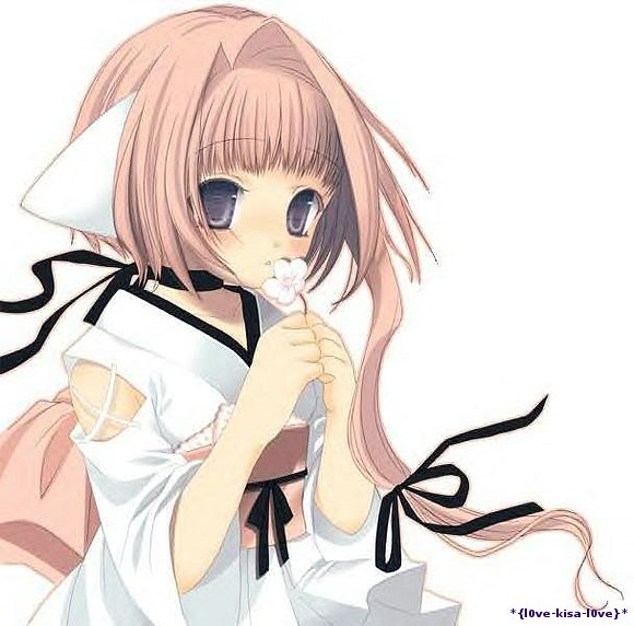 *NekO*