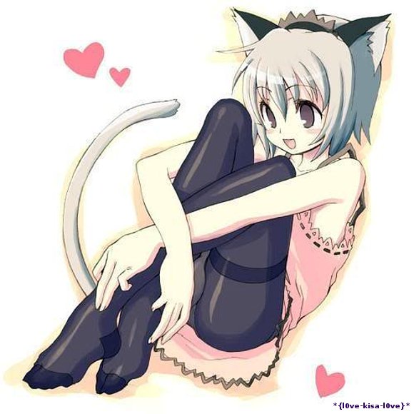 *NekO*