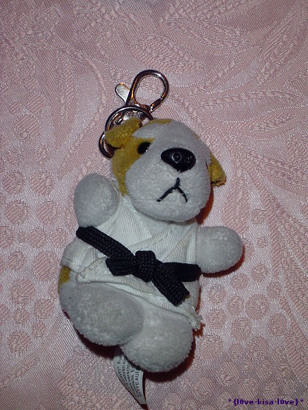 Mi llaverito osito de judo del campeonato españa!!