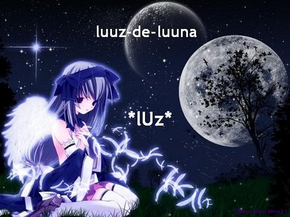 mi mf    ~luuz de luuna~