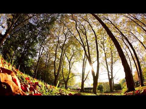 OTO&Ntilde;O