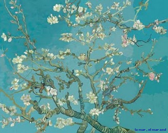 almendro