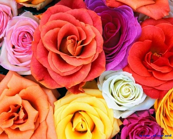 flores para ...