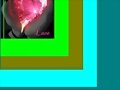 poesia del amor.....