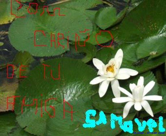 para mi amiga especial