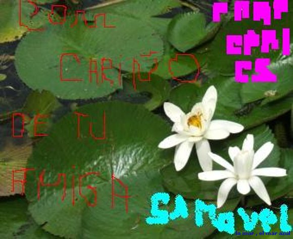 para mi amiga especial