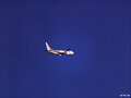 Air Europa B737