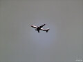 B767