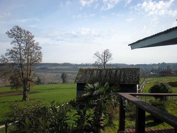 futrono  querido (lago)7
