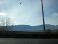 futrono  querido (lago)9