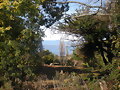 futrono  querido (lago)11