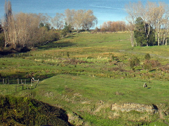 futrono  querido (lago)14