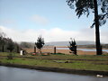 valdivia(mirado  desde  el bosque alto)1