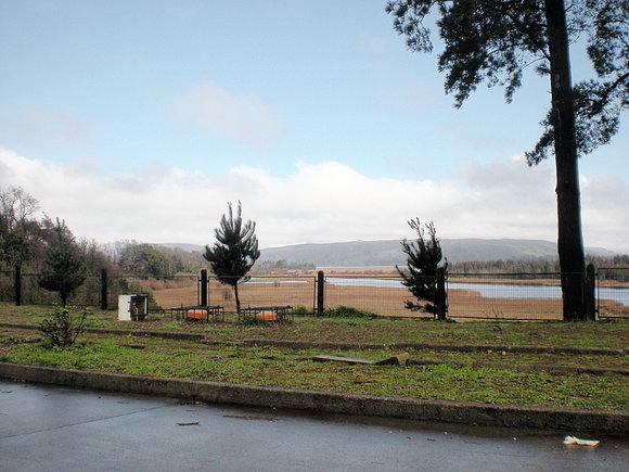 valdivia(mirado  desde  el bosque alto)1