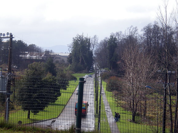 valdivia(mirado  desde  el bosque alto)3