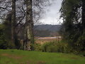 valdivia(mirado  desde  el bosque alto)4
