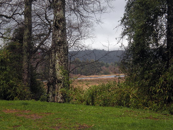 valdivia(mirado  desde  el bosque alto)4