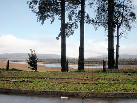 valdivia(mirado  desde  el bosque alto)10