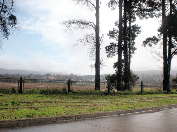 valdivia(mirado  desde  el bosque alto)11