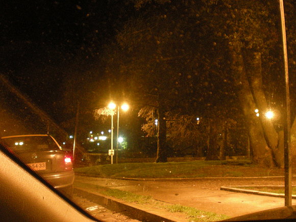VALDIVIA  DE  NOCHE EL MERCADO