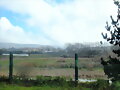 VALDIVIA  EN  PRIMAVERA  28