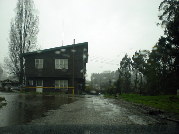 VALDIVIA  EN  PRIMAVERA  132