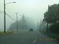 VALDIVIA  EN  PRIMAVERA  (collico=aguas  rojas)3