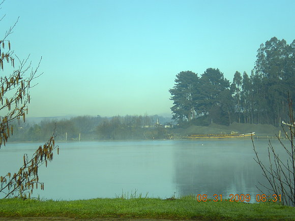 VALDIVIA  EN  PRIMAVERA  (collico=aguas  rojas)5