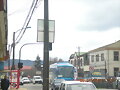 VALDIVIA  EN  PRIMAVERA  2(CALLE PICARTE