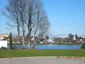 VALDIVIA  EN  PRIMAVERA  (SEPTIMBRE2009)2