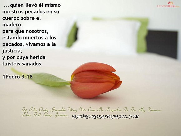 1 pedro 3:28