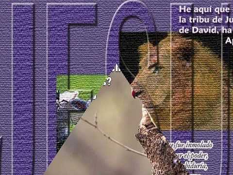 marcos  charravia(tu  eres  Dios)