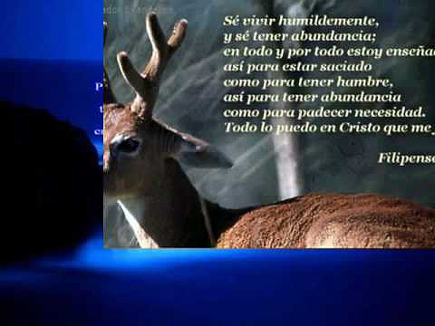 john montalban(tal  vez)