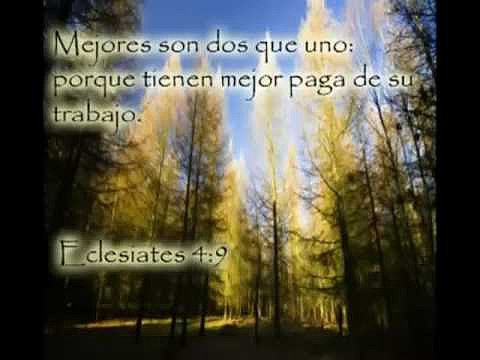 alas  de  aguila( nuevas  alturas)