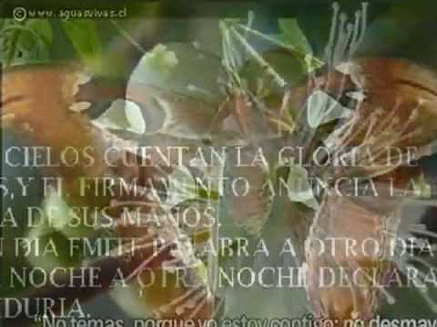 vox dei(quitate  la  mascara)