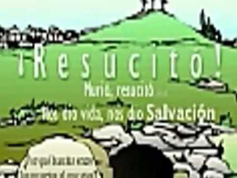 miguel  cassina (  no  puedo  carrar)