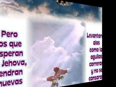 PABLO  OLIVARES(quiero amarte  mas)