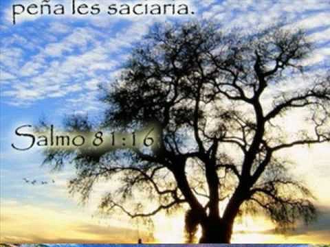 PABLO  OLIVARES(te  acompa&ntilde;are)parte  2