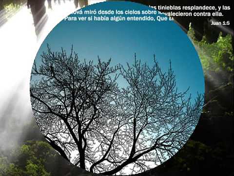 luis santiago(eres  tu)
