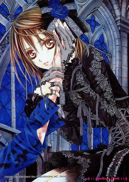 Vampire Knight