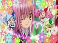 Amu Doki op 6