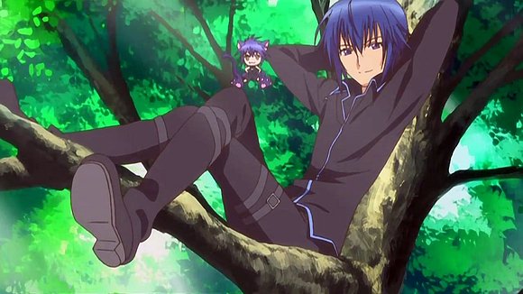 Shugo Chara Doki (1144)