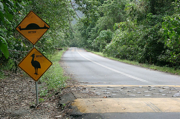 Signs everywhere!