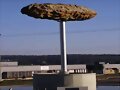 WTF?!?!?! The shit statue?!?!?!