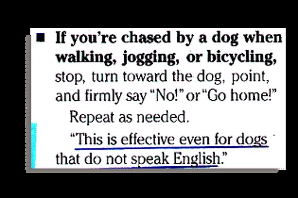 Useful knowledge about dogs
