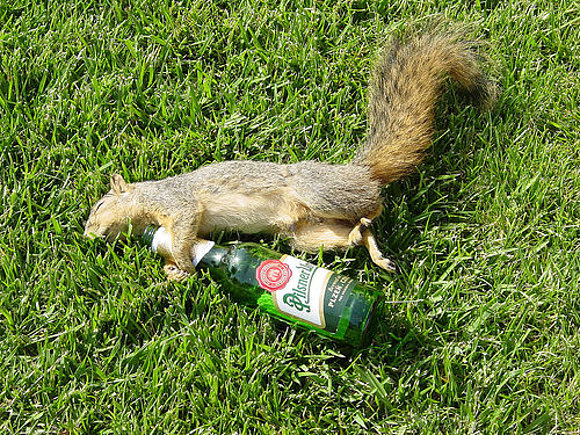 Drink responsibly!