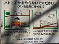 WTF Sign 3