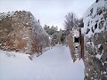 nevada
