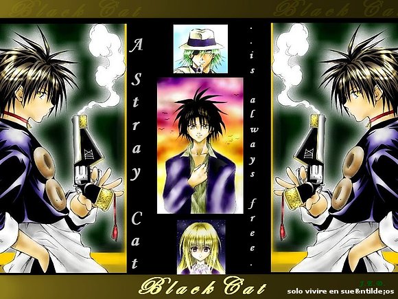 The black cats